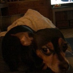 Meet your Posher, Chris